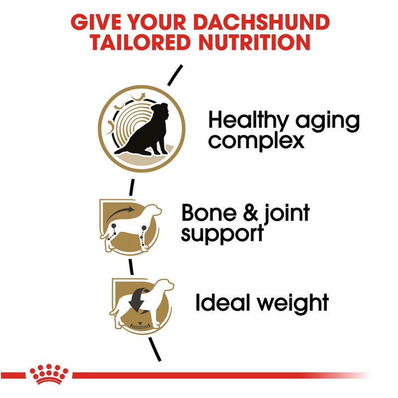 Royal Canin Breed Health Nutrition Dachshund 8+ Senior Dry Dog Food, 3 lb Bag - Image 3